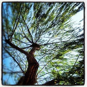 391221_10150992067266409_1156221478_n